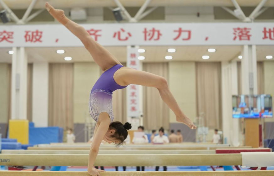 深入探讨乐鱼app体育的功能与特色